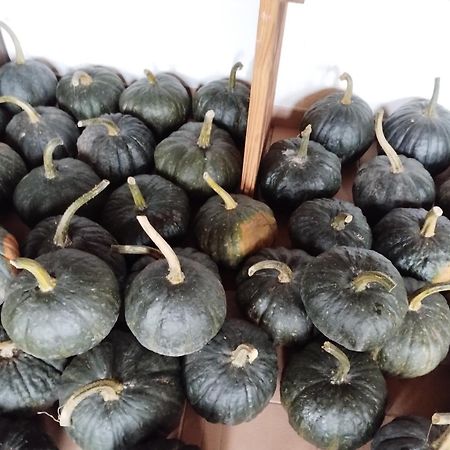 Agriturismo Al Marnich 스키냐노 외부 사진