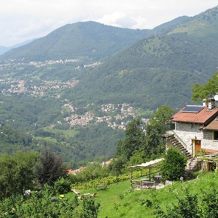 Agriturismo Al Marnich 스키냐노 외부 사진