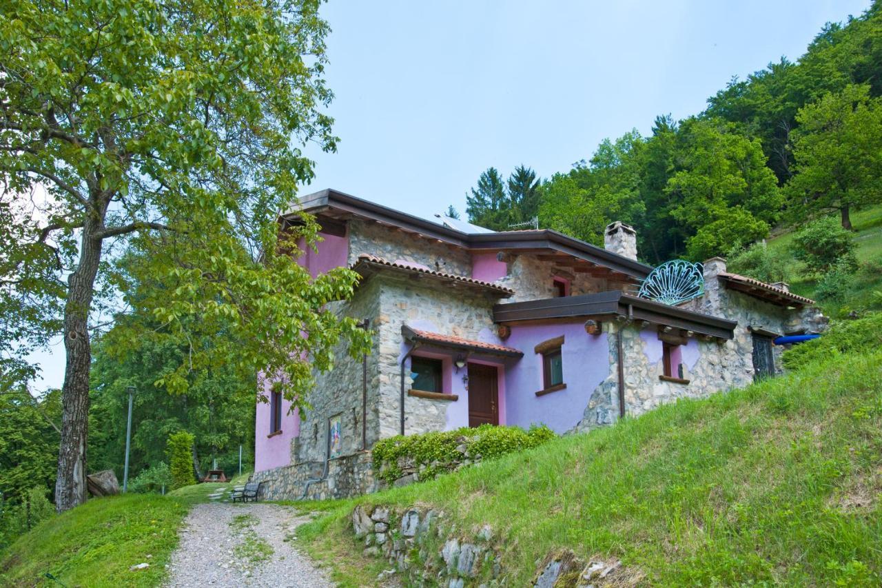 Agriturismo Al Marnich 스키냐노 외부 사진