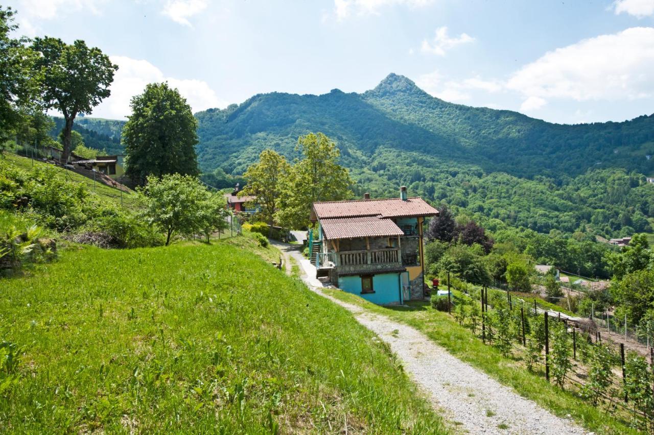 Agriturismo Al Marnich 스키냐노 외부 사진